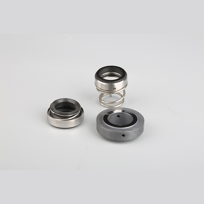 APV-3 Double Mechanical Seals