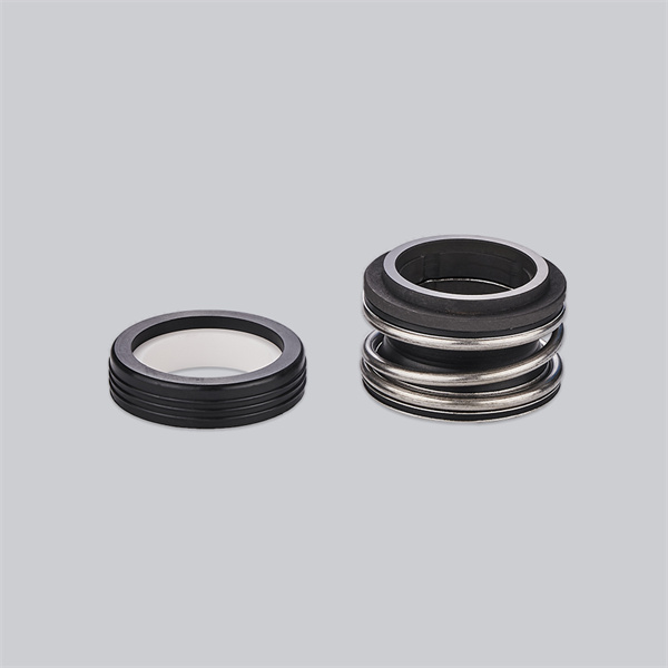 W60 Rubber bellows Mechanical Seal