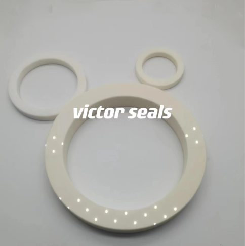 ceramic mechanical ring